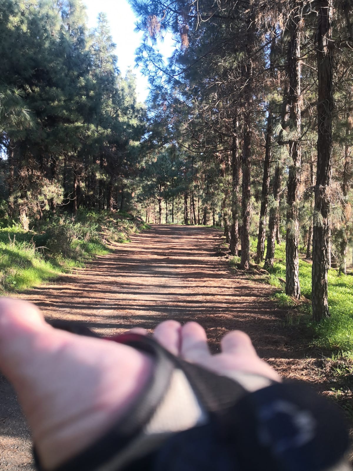 Practicando marcha nórdica en sendero